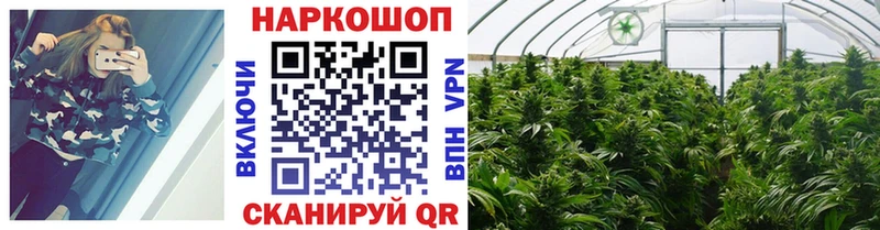 Купить наркотики цена Великий Новгород Alpha-PVP  ТГК  KRAKEN зеркало  МЕФ 