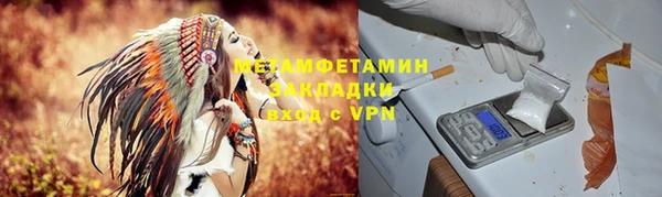 гидра Богородицк