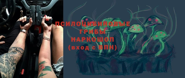 прущие крисы Богданович