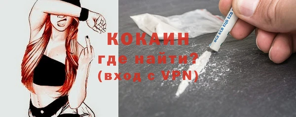 гидра Богородицк