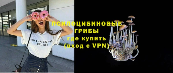 гидра Богородицк