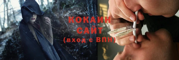 прущие крисы Богданович