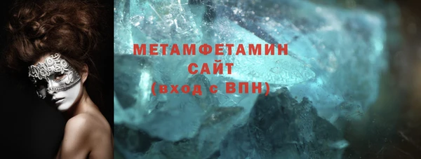 гидра Богородицк
