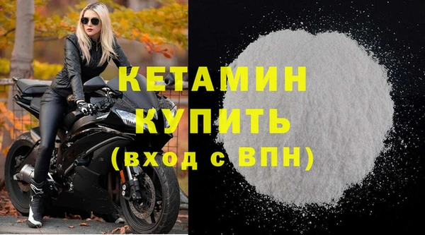 гидра Богородицк