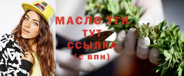 гидра Богородицк