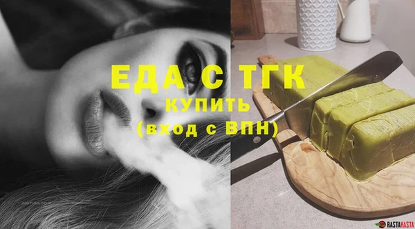 гидра Богородицк