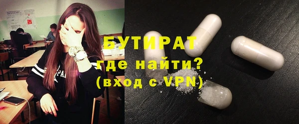 гидра Богородицк