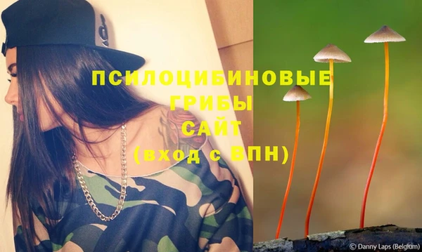 гидра Богородицк