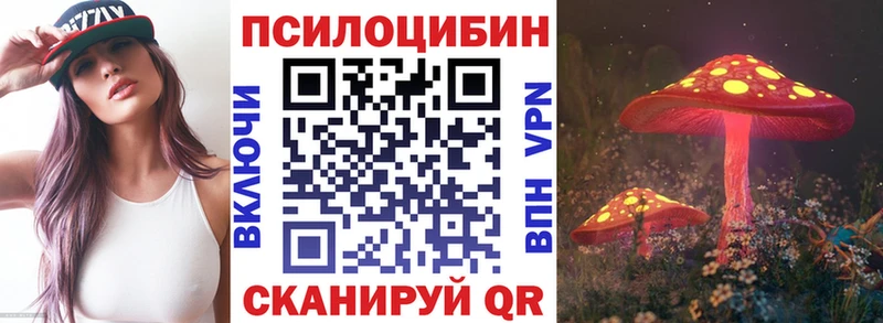 Псилоцибиновые грибы мицелий  где продают наркотики  Великий Новгород 
